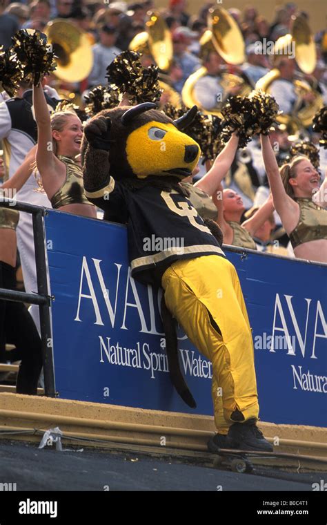 Exploring the University of Colorado's Connection to Native American Symbolism through its Mascot